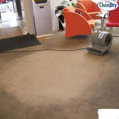 依语地毯清洗案例